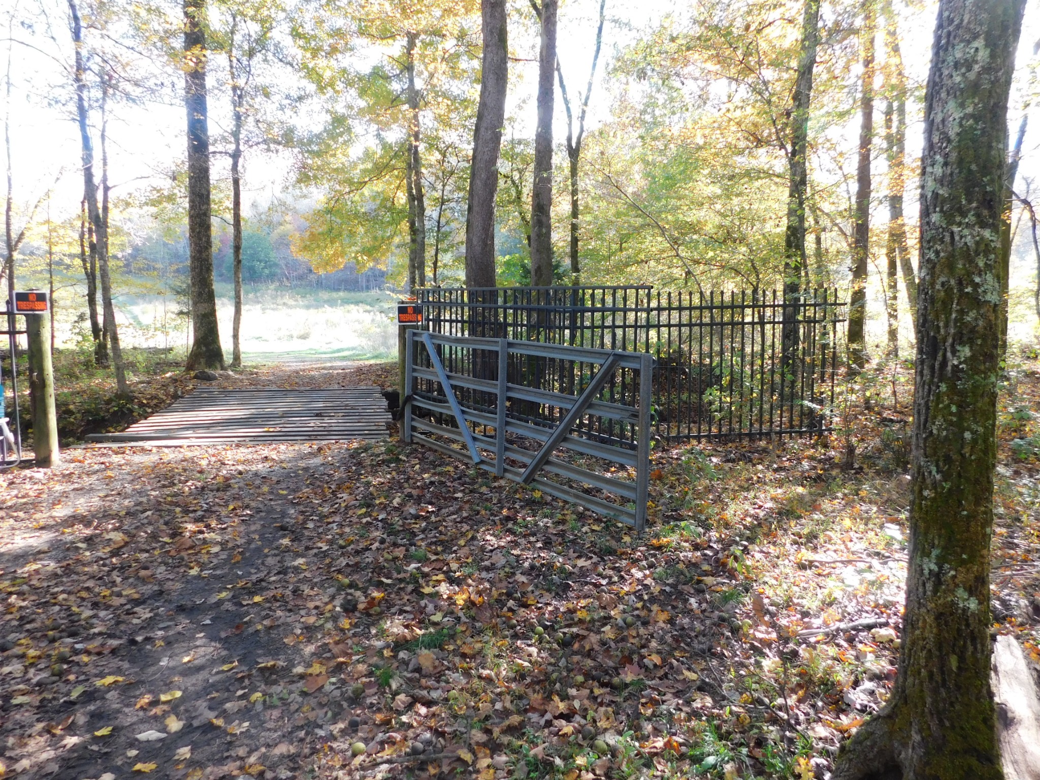 1869 Gander Branch Road Waverly, TN 37185 - Photo 16 of 46 a backyard of a house with lots of green space