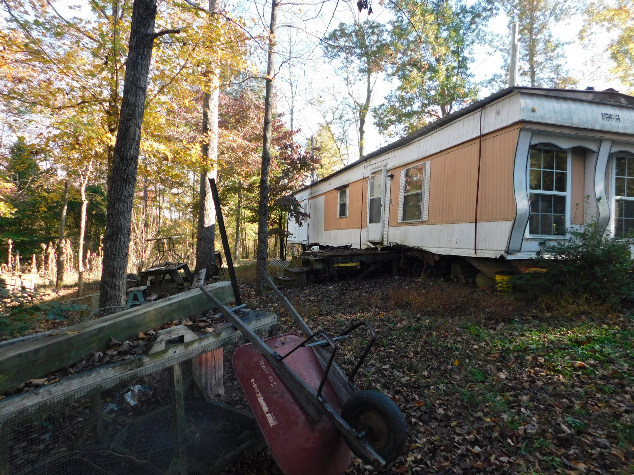1869 Gander Branch Road Waverly, TN 37185 - Photo 17 of 46 a view of a yard with a tree
