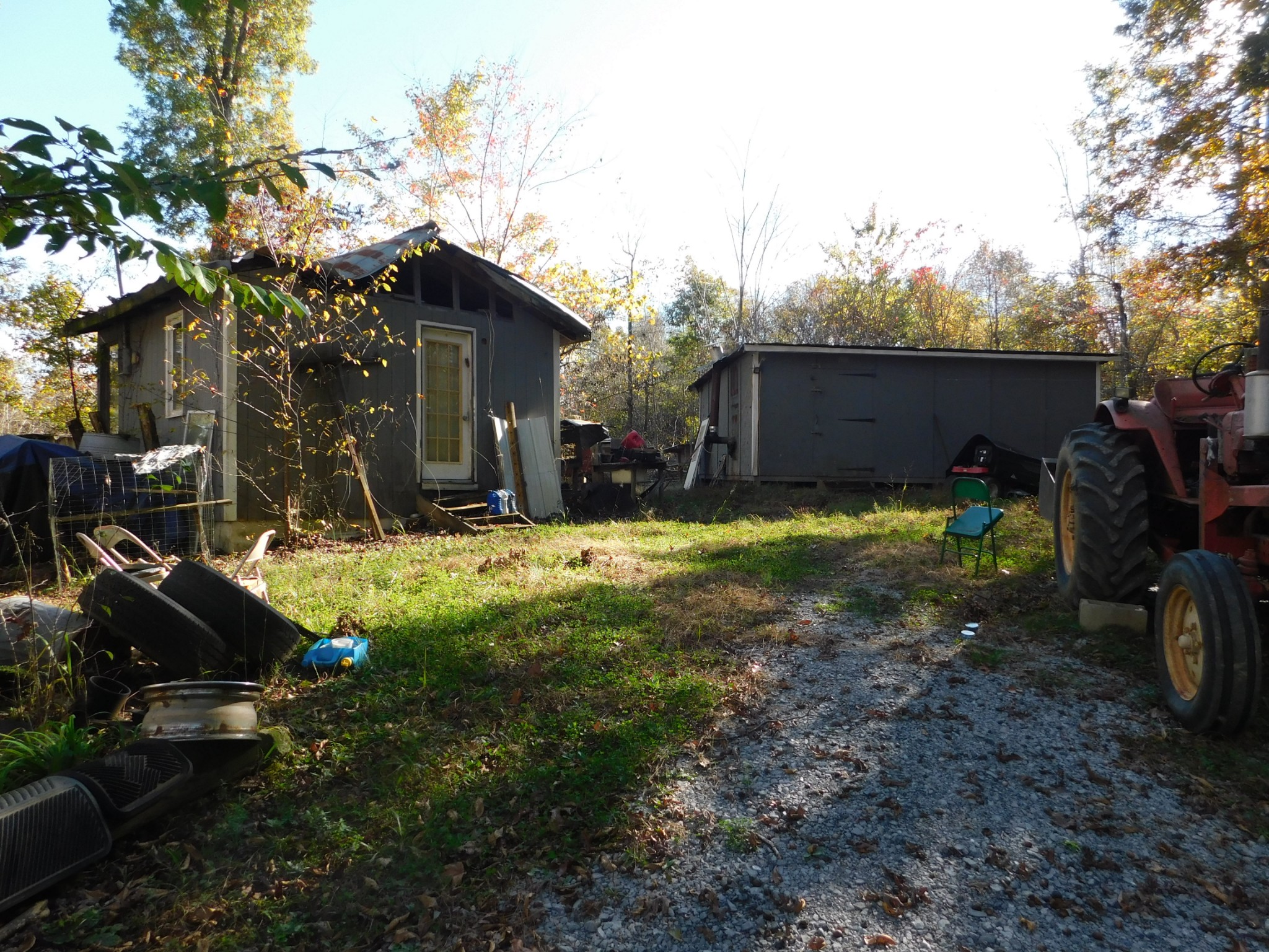 1869 Gander Branch Road Waverly, TN 37185 - Photo 19 of 46 a view of a yard with plants and large trees