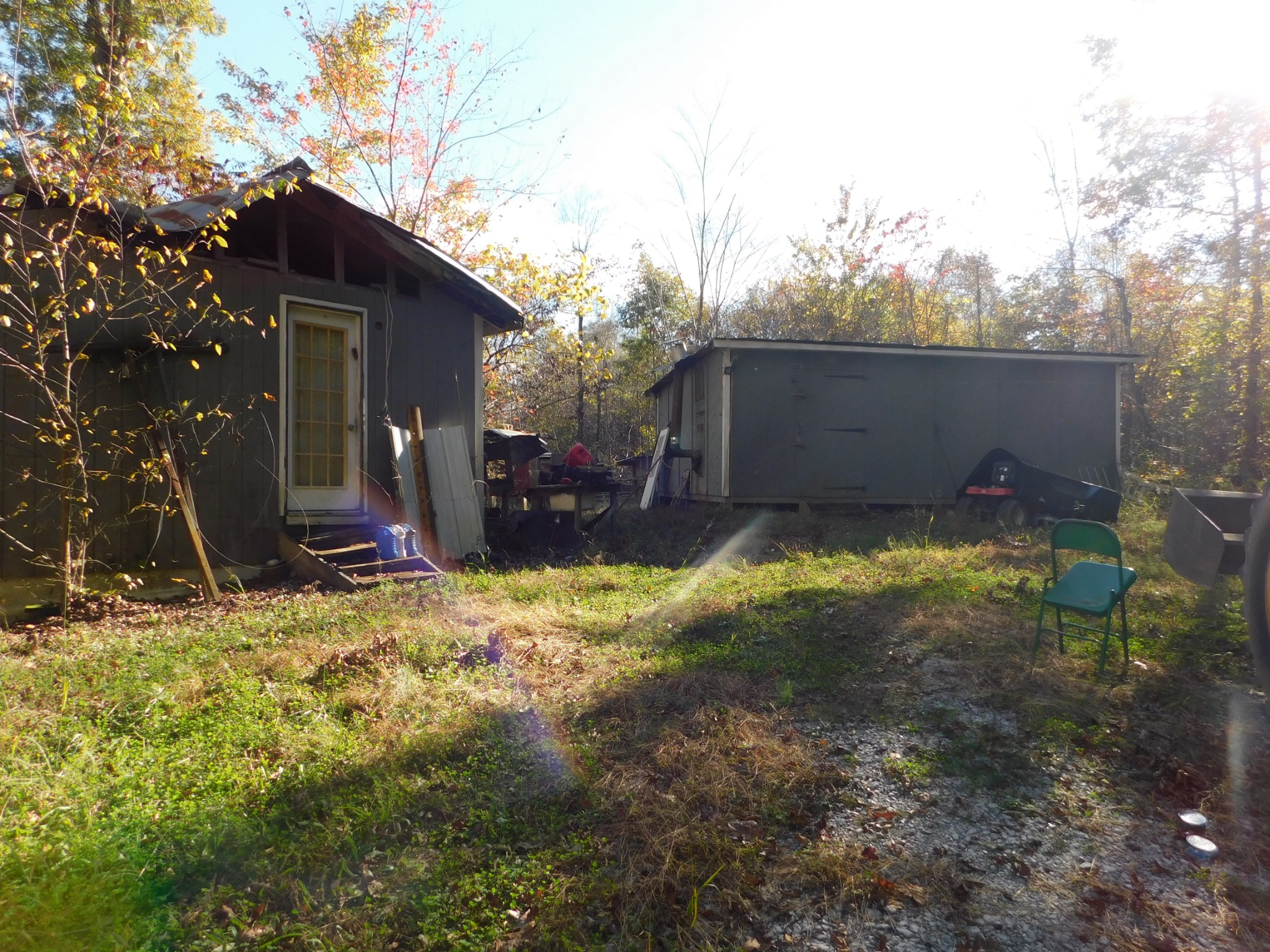 1869 Gander Branch Road Waverly, TN 37185 - Photo 20 of 46 a view of a house with a yard covered with trees