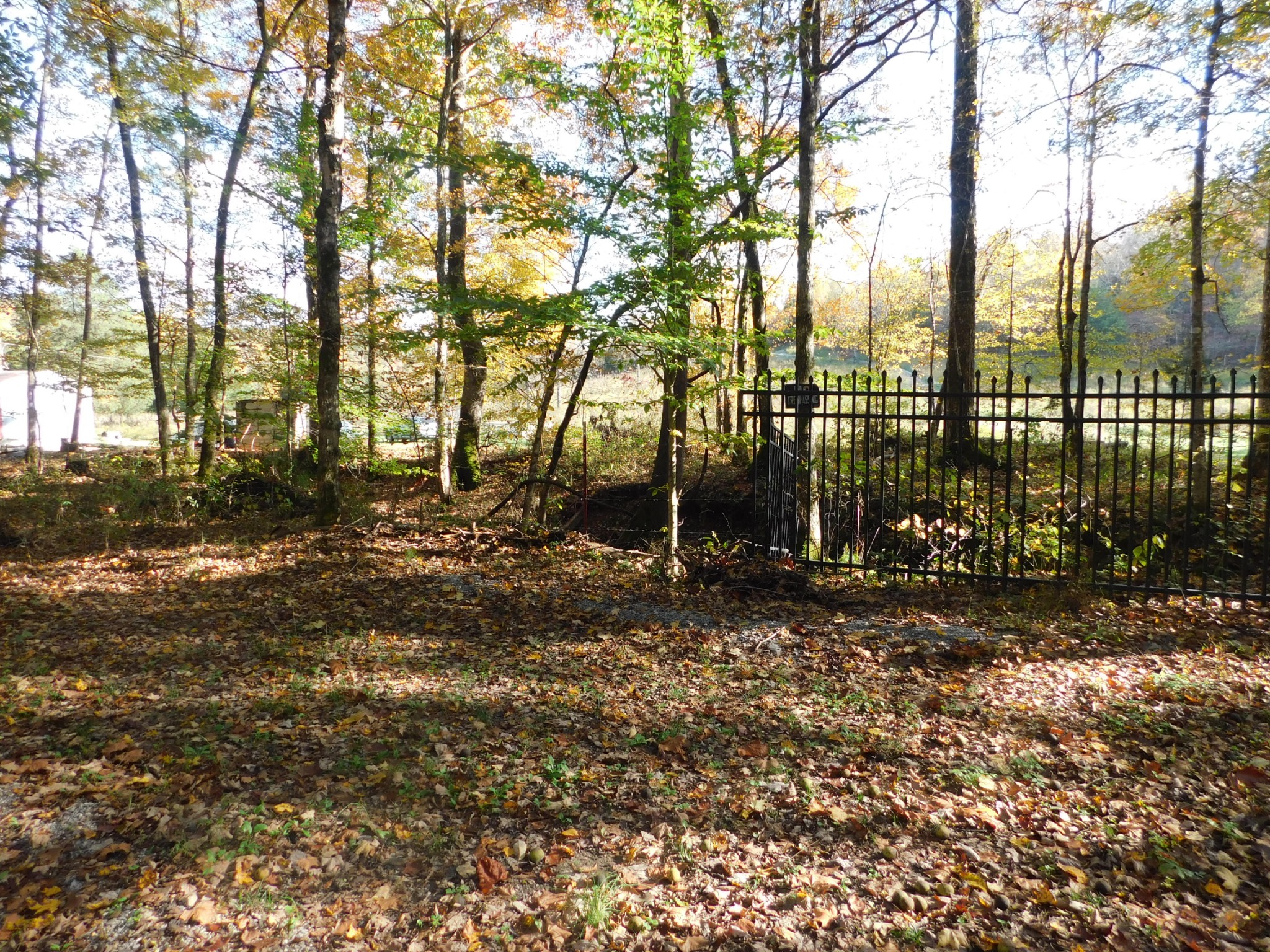 1869 Gander Branch Road Waverly, TN 37185 - Photo 4 of 46 a view of a park with large trees