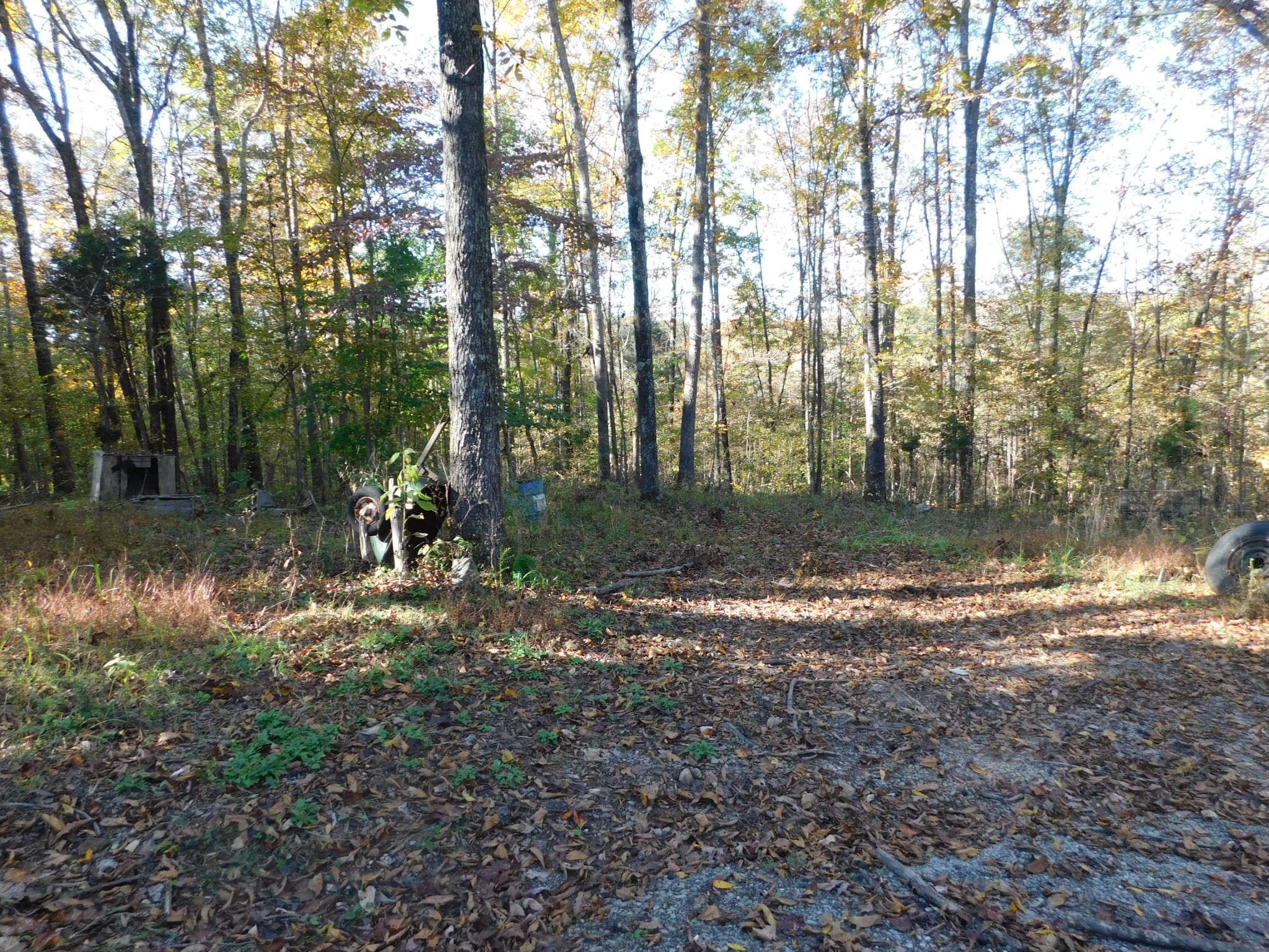 1869 Gander Branch Road Waverly, TN 37185 - Photo 32 of 46 a view of a outdoor space