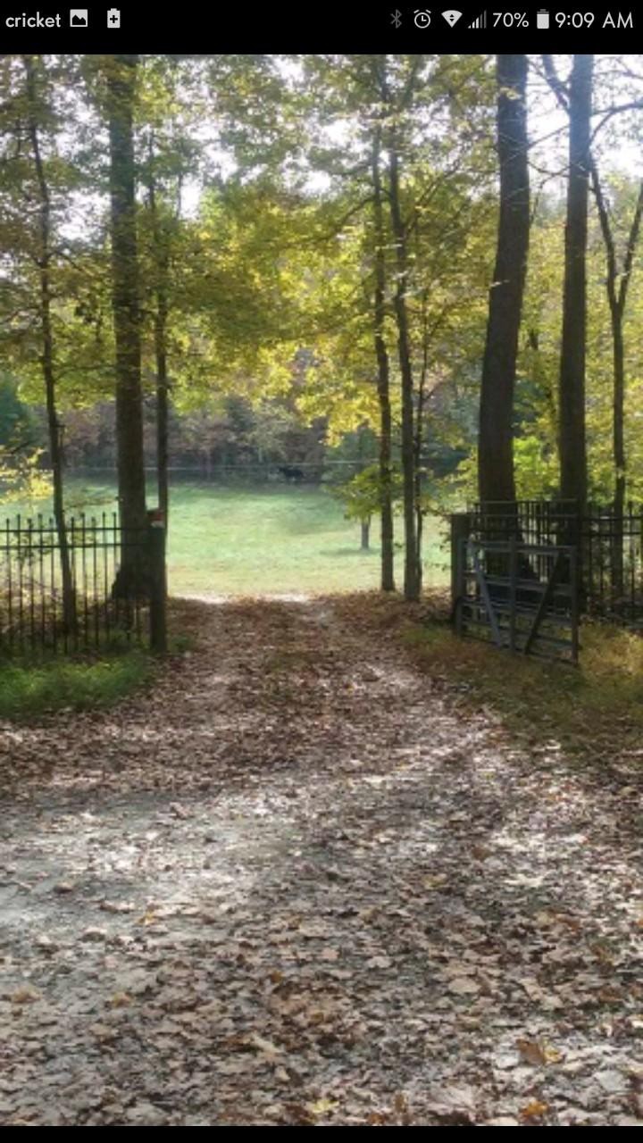1869 Gander Branch Road Waverly, TN 37185 - Photo 44 of 46 a backyard of a house with lots of green space