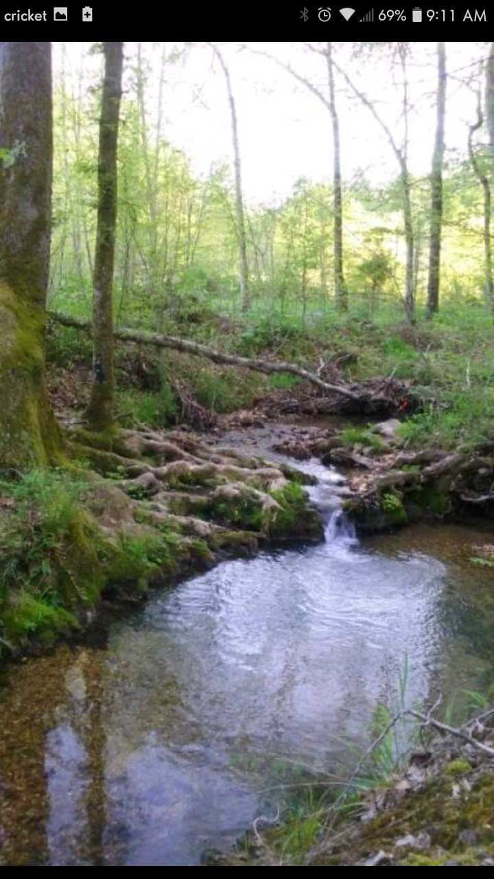 1869 Gander Branch Road Waverly, TN 37185 - Photo 45 of 46 a view of a lake