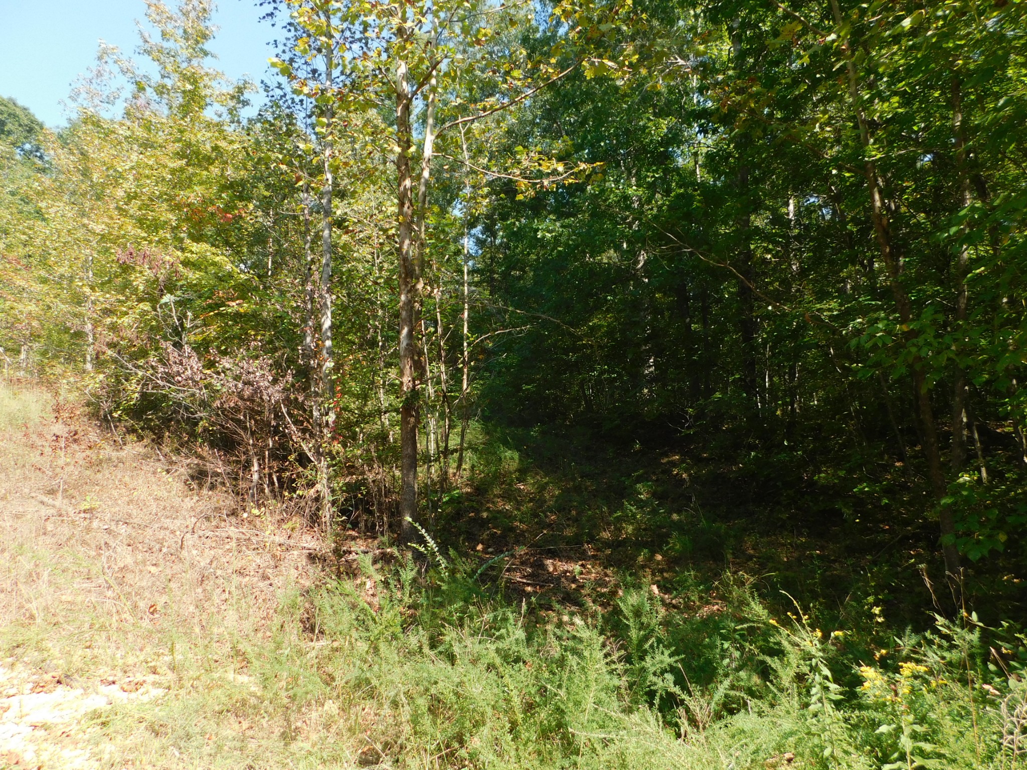 1869 Gander Branch Road Waverly, TN 37185 - Photo 8 of 46