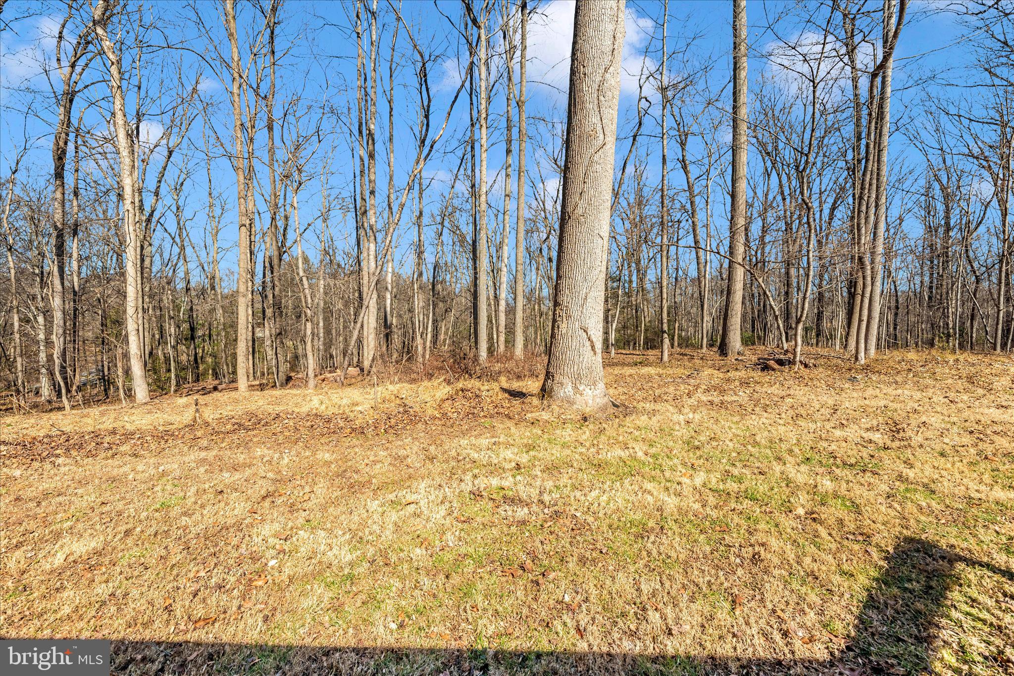 14015 Berryville Road Darnestown, MD 20874 - Photo 47 of 53 Back yard