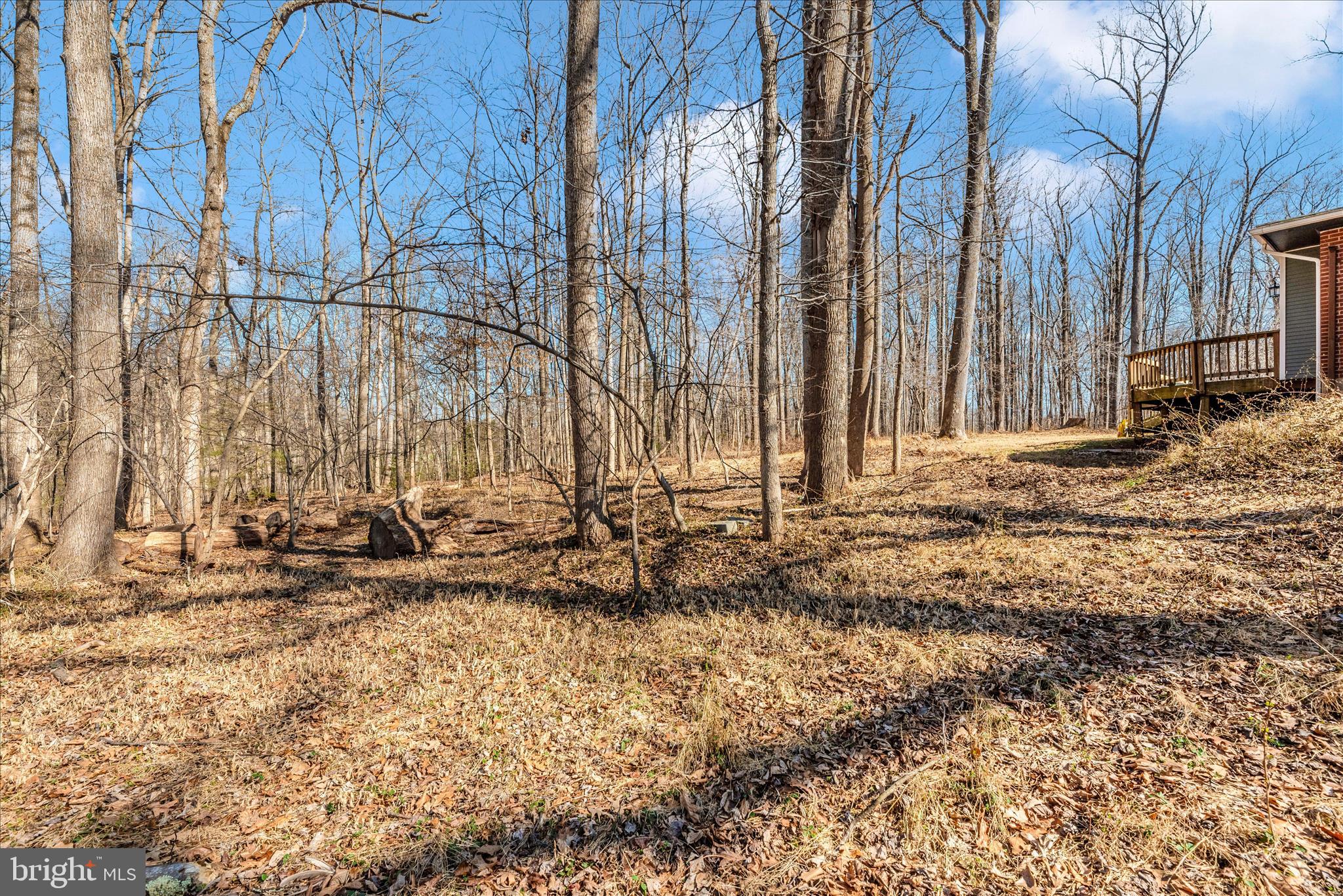 14015 Berryville Road Darnestown, MD 20874 - Photo 49 of 53 Exterior Back