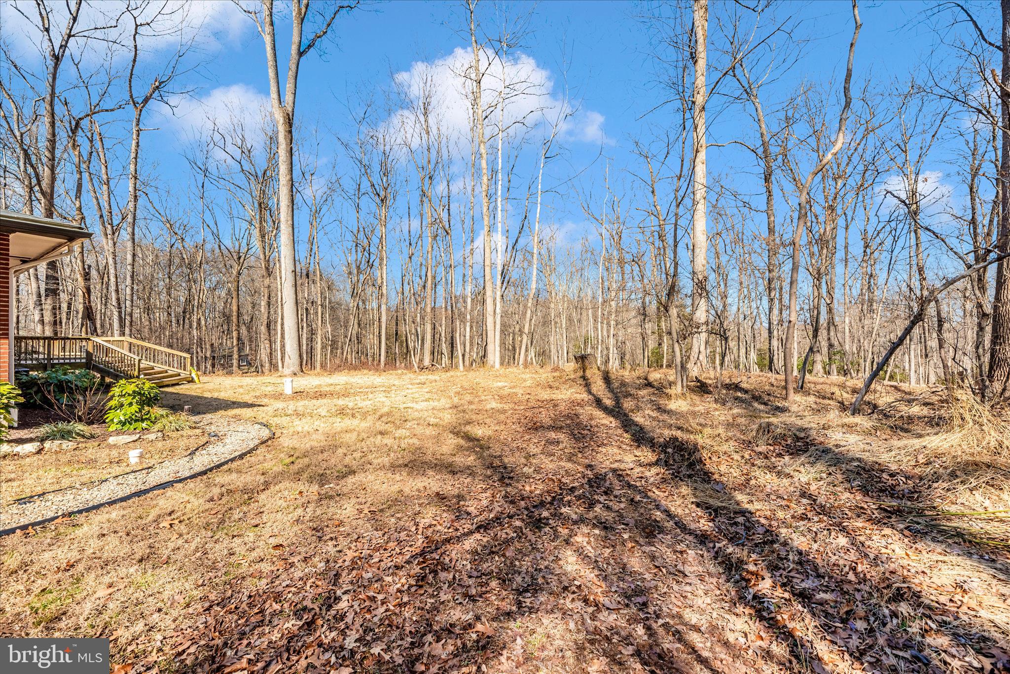14015 Berryville Road Darnestown, MD 20874 - Photo 50 of 53 Side yard