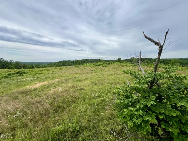 $236,900 | 0 Sawdust Road, Hurricane Mills, TN 37078