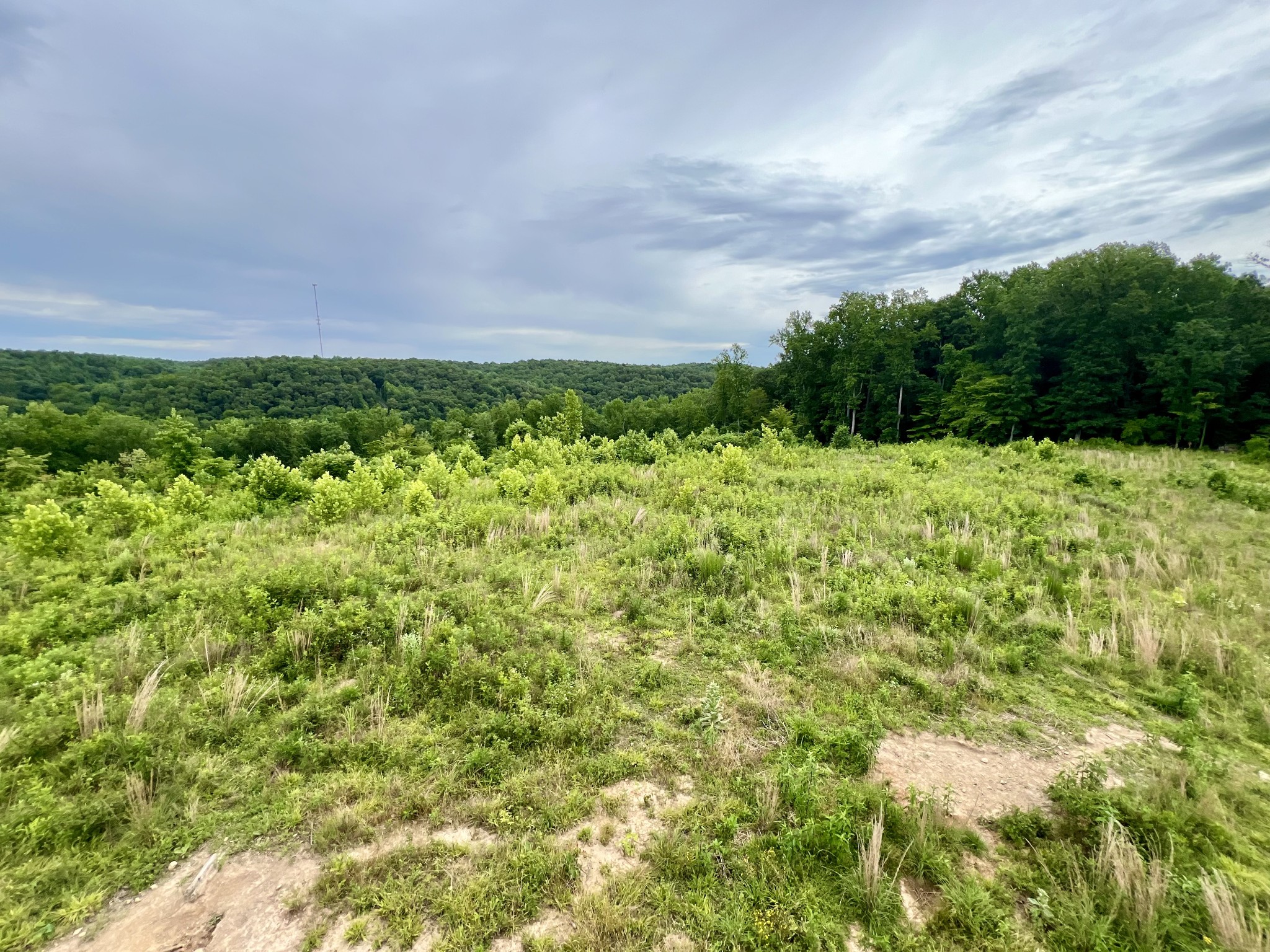 0 Sawdust Road Hurricane Mills, TN 37078 - Photo 11 of 22