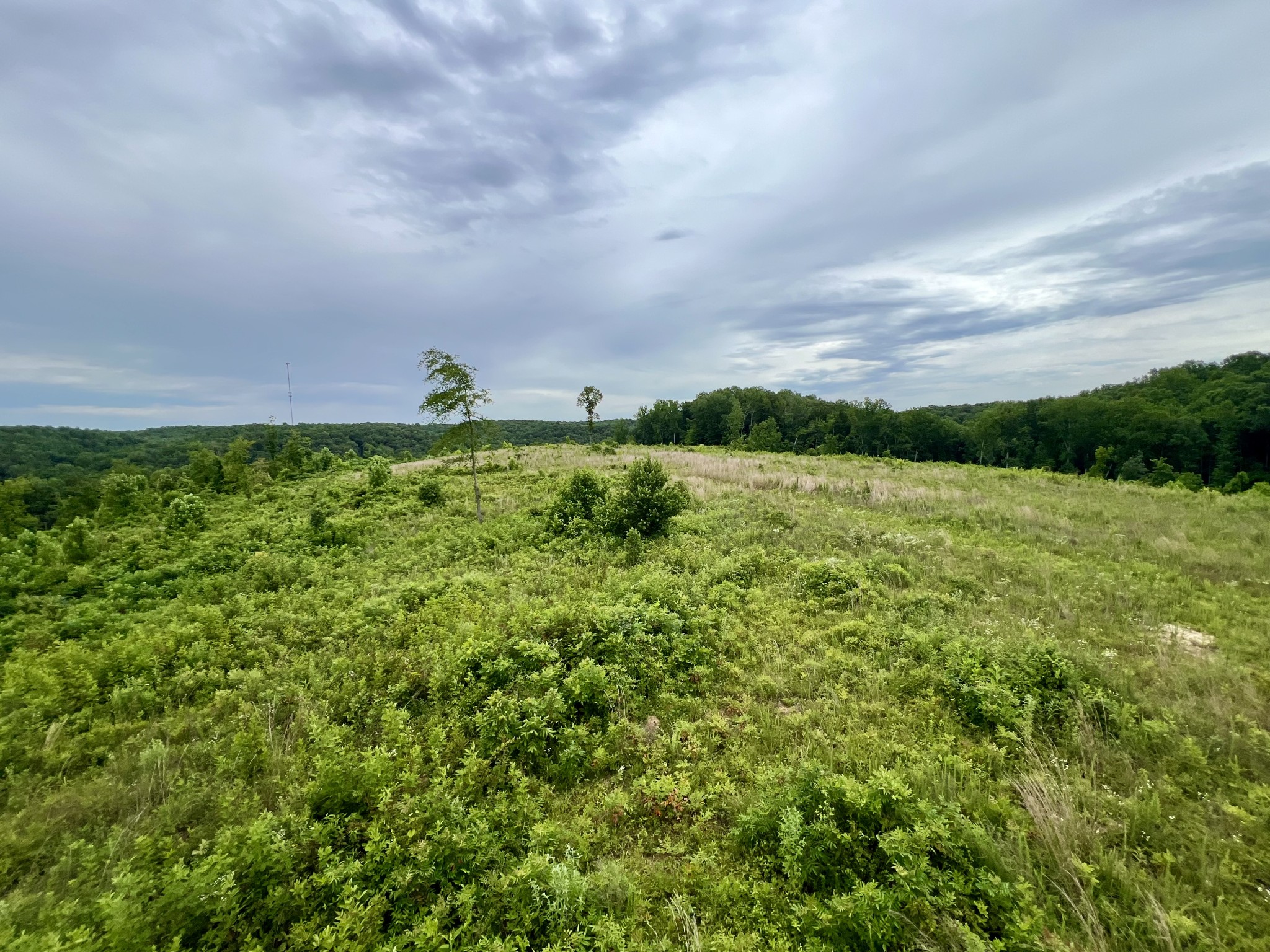 0 Sawdust Road Hurricane Mills, TN 37078 - Photo 12 of 22