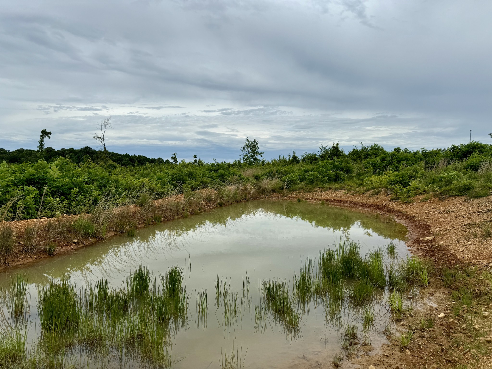 0 Sawdust Road Hurricane Mills, TN 37078 - Photo 13 of 22