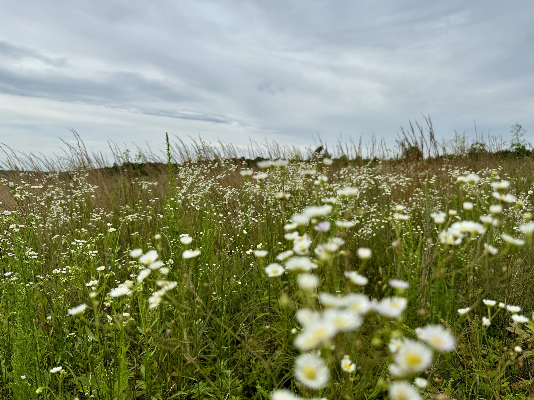 0 Sawdust Road Hurricane Mills, TN 37078 - Photo 14 of 22
