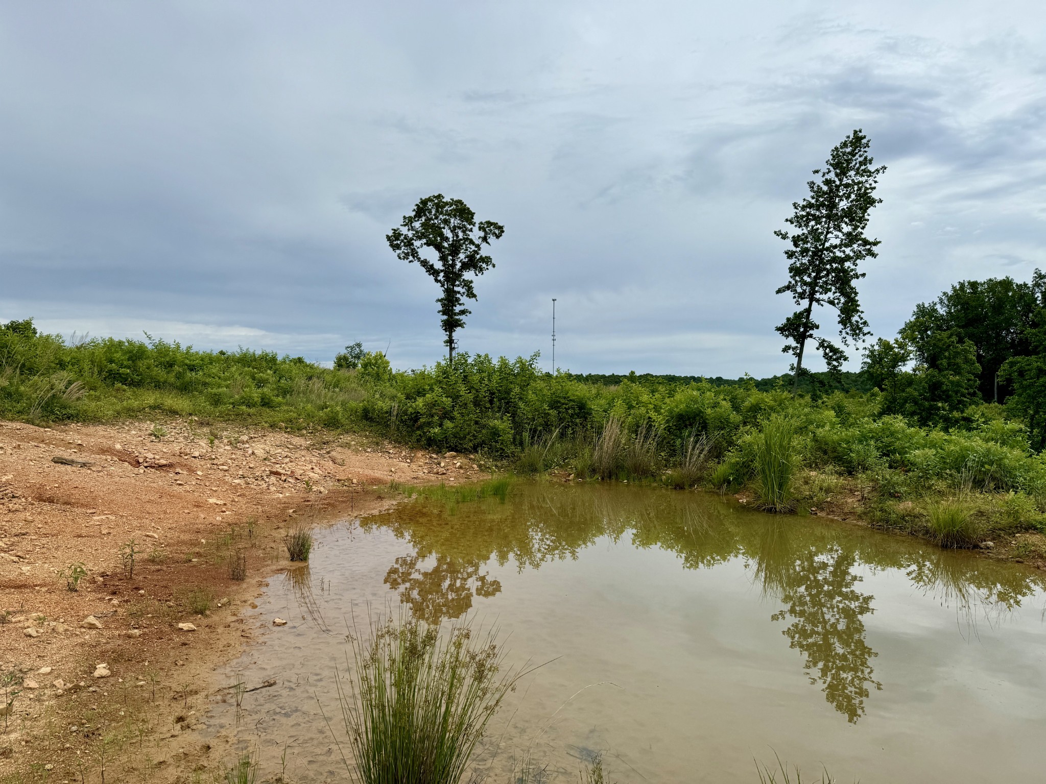 0 Sawdust Road Hurricane Mills, TN 37078 - Photo 17 of 22
