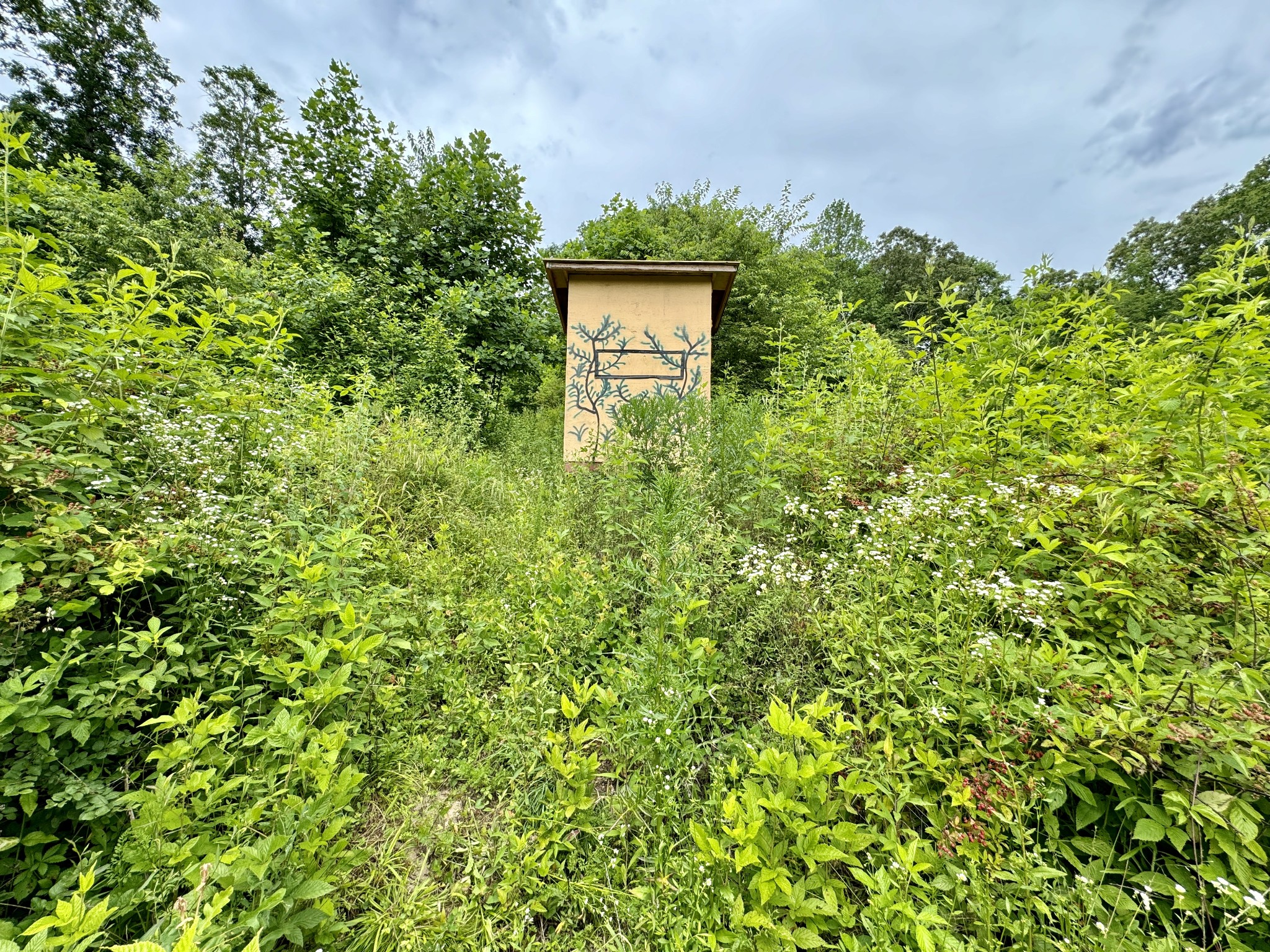 0 Sawdust Road Hurricane Mills, TN 37078 - Photo 18 of 22