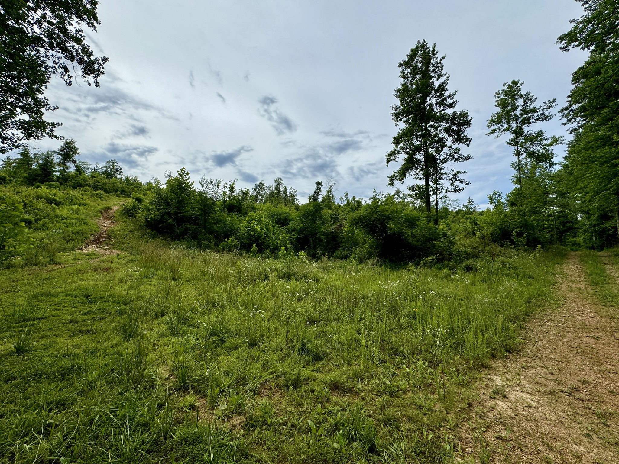 0 Sawdust Road Hurricane Mills, TN 37078 - Photo 20 of 22