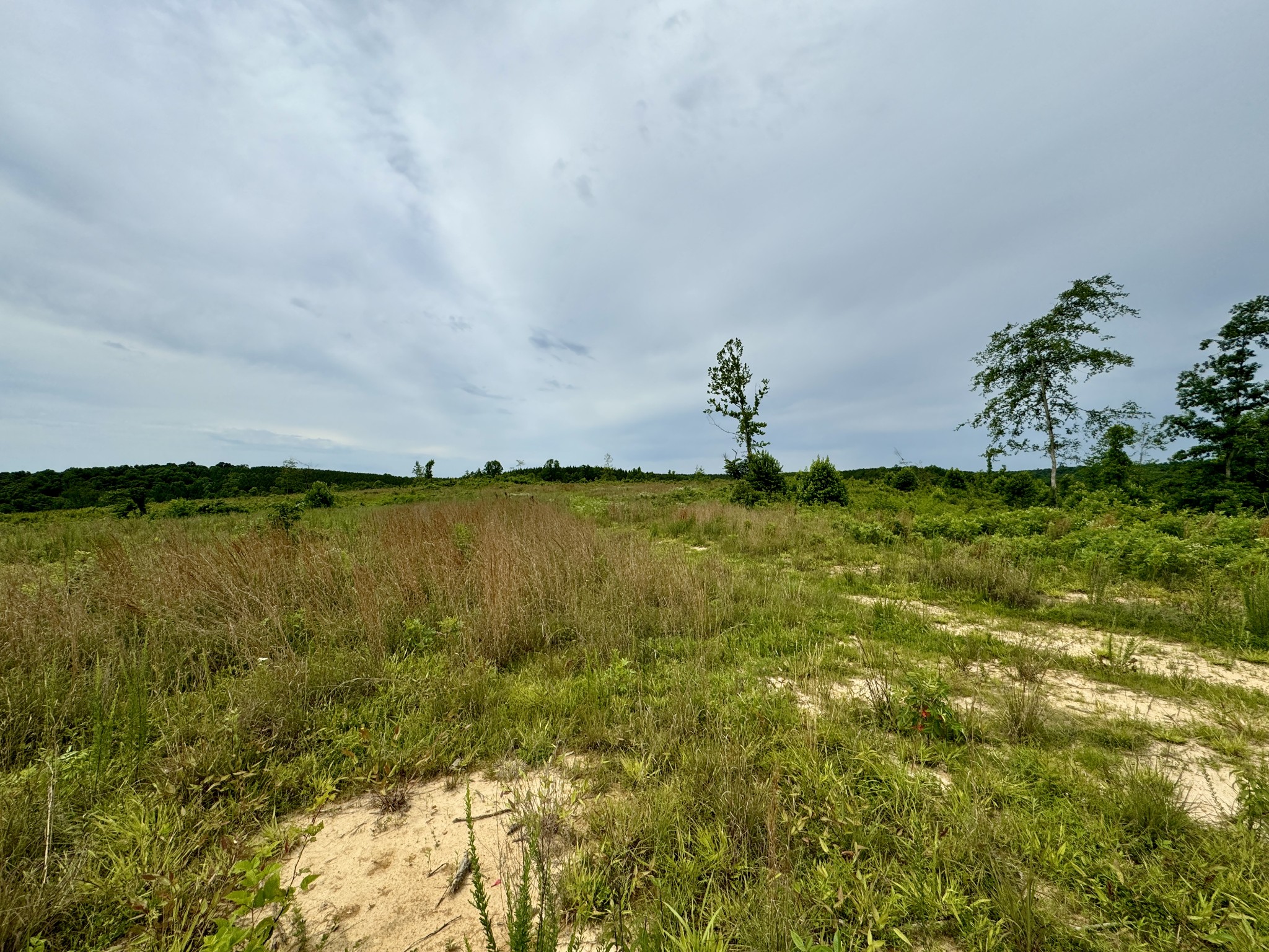 0 Sawdust Road Hurricane Mills, TN 37078 - Photo 21 of 22