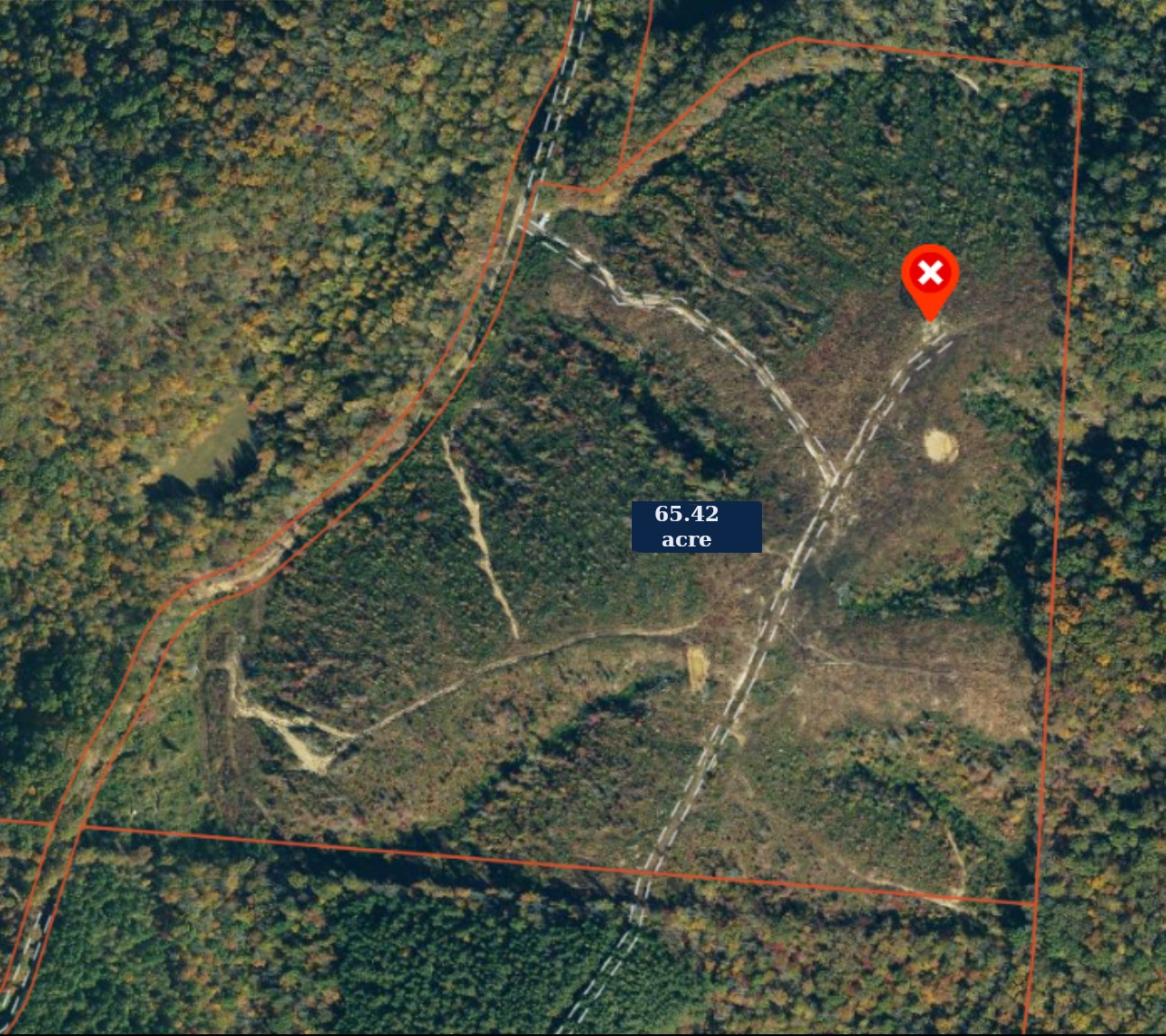 0 Sawdust Road Hurricane Mills, TN 37078 - Photo 4 of 22