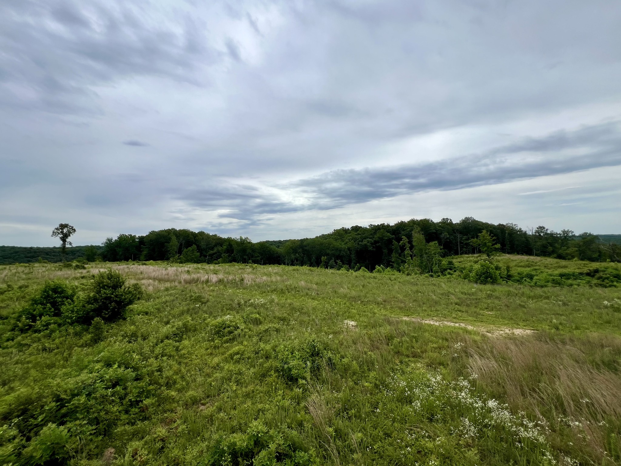 0 Sawdust Road Hurricane Mills, TN 37078 - Photo 8 of 22