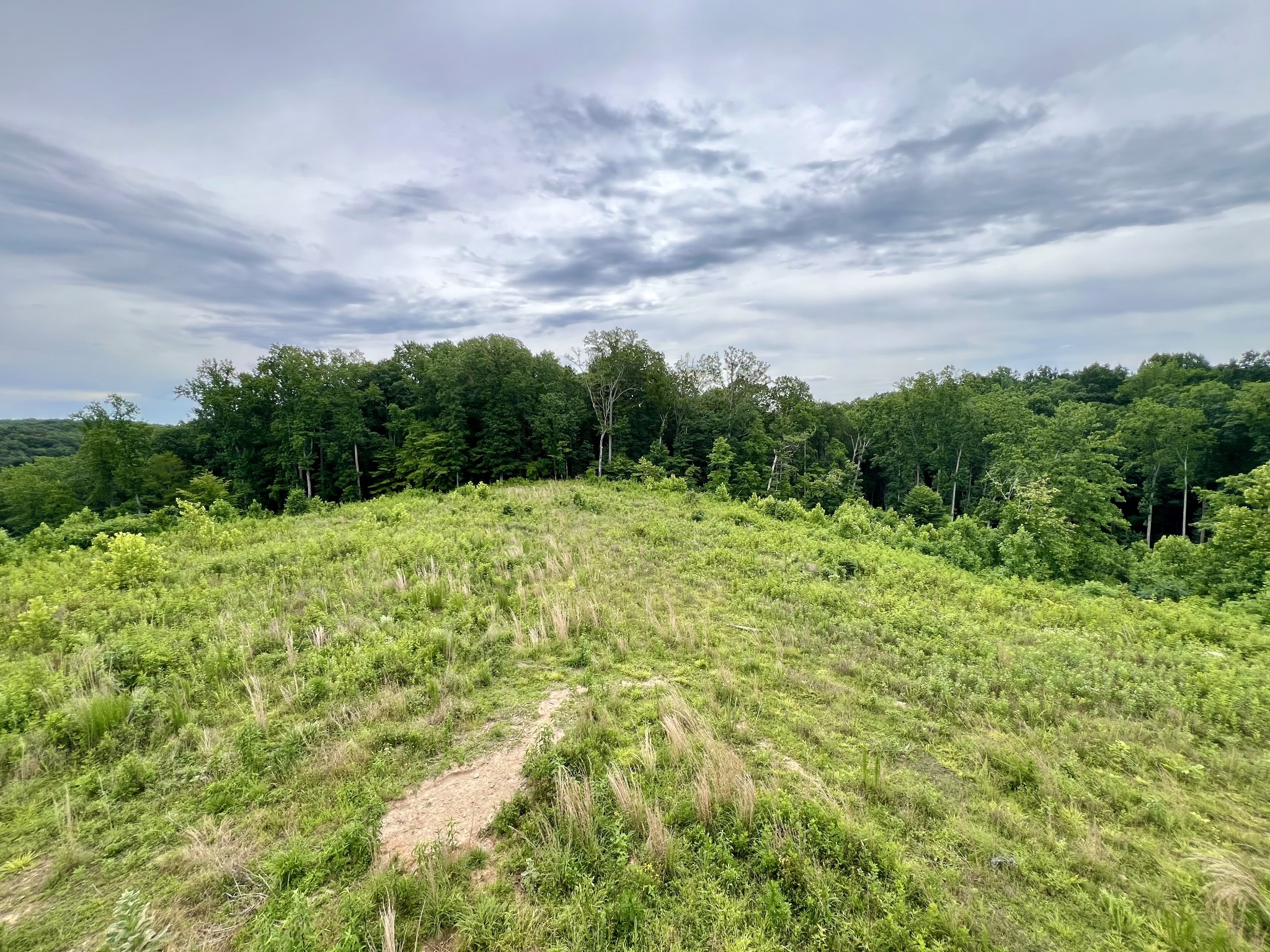 0 Sawdust Road Hurricane Mills, TN 37078 - Photo 10 of 22