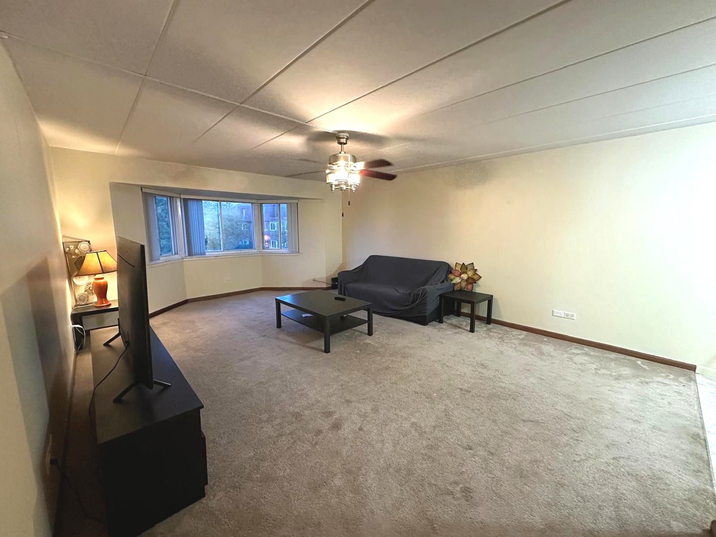 300 Roselle Road, Unit 419 Schaumburg, IL 60193 - Photo 5 of 11