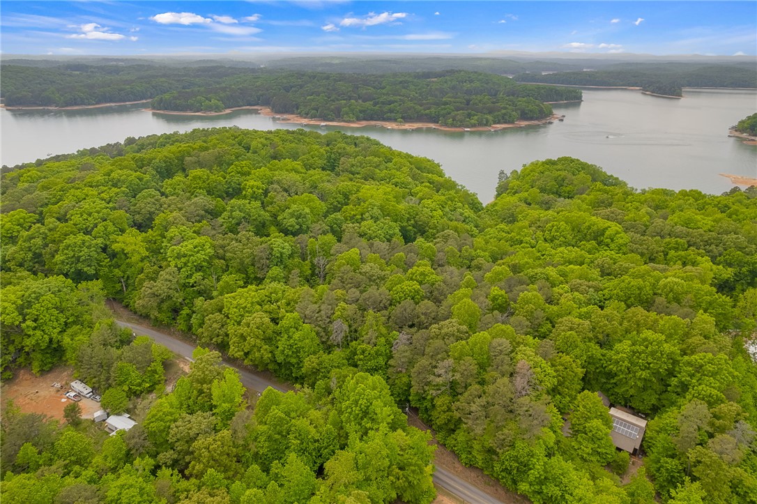 5 Shelor Ferry Road Fair Play, SC 29643 - Photo 10 of 17 Scenic Lake Setting – Elevated view showcasing beautiful Lake Hartwell water views, mature trees, and a private cove atmosphere