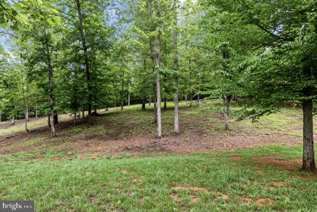 30367 Old Locust Grove Locust Grove, VA 22508 - Photo 32 of 36 a view of a park with large trees