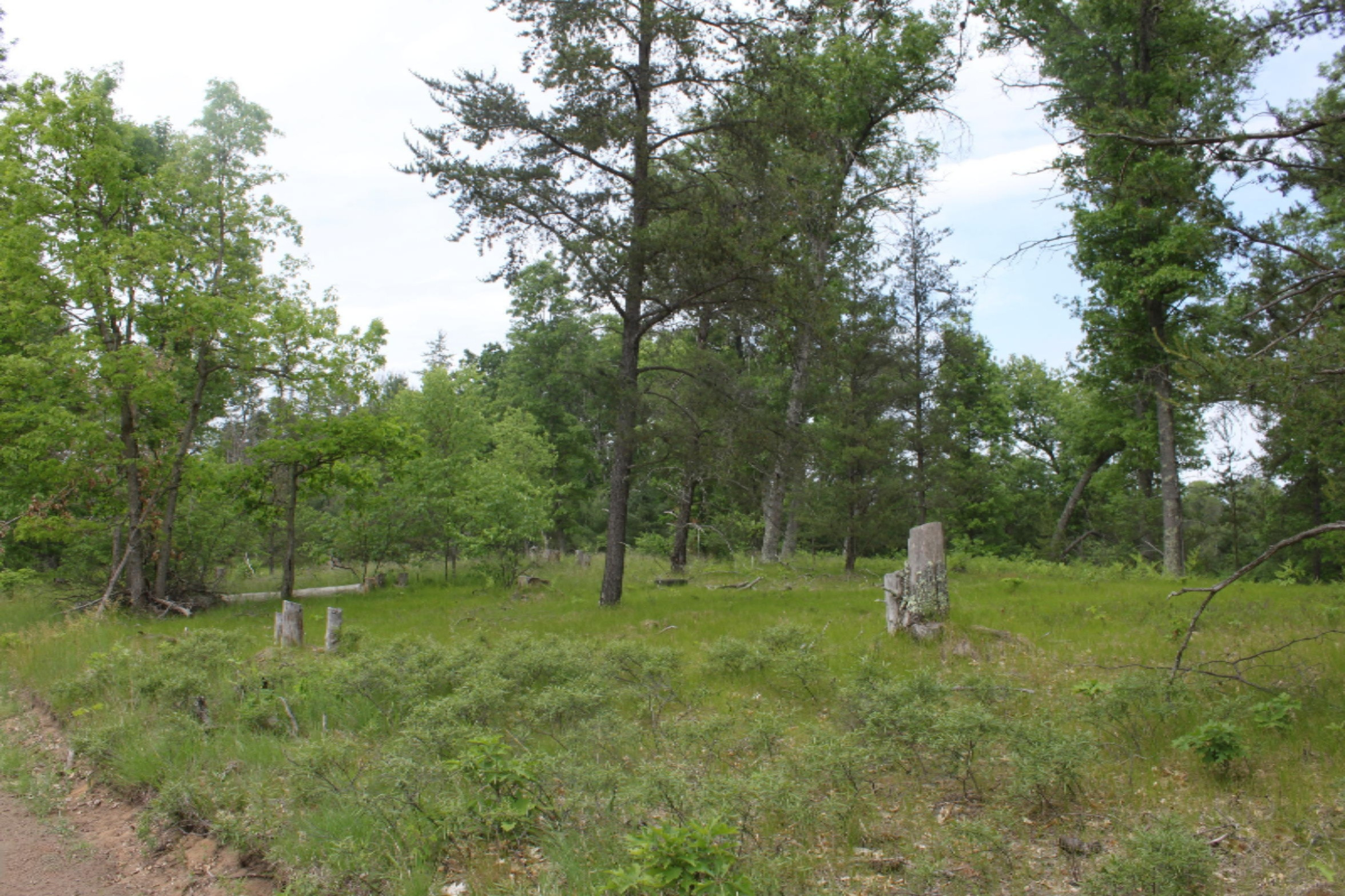 5 10 Mile Road Irons, MI 49644 - Photo 2 of 2 IMG_8202