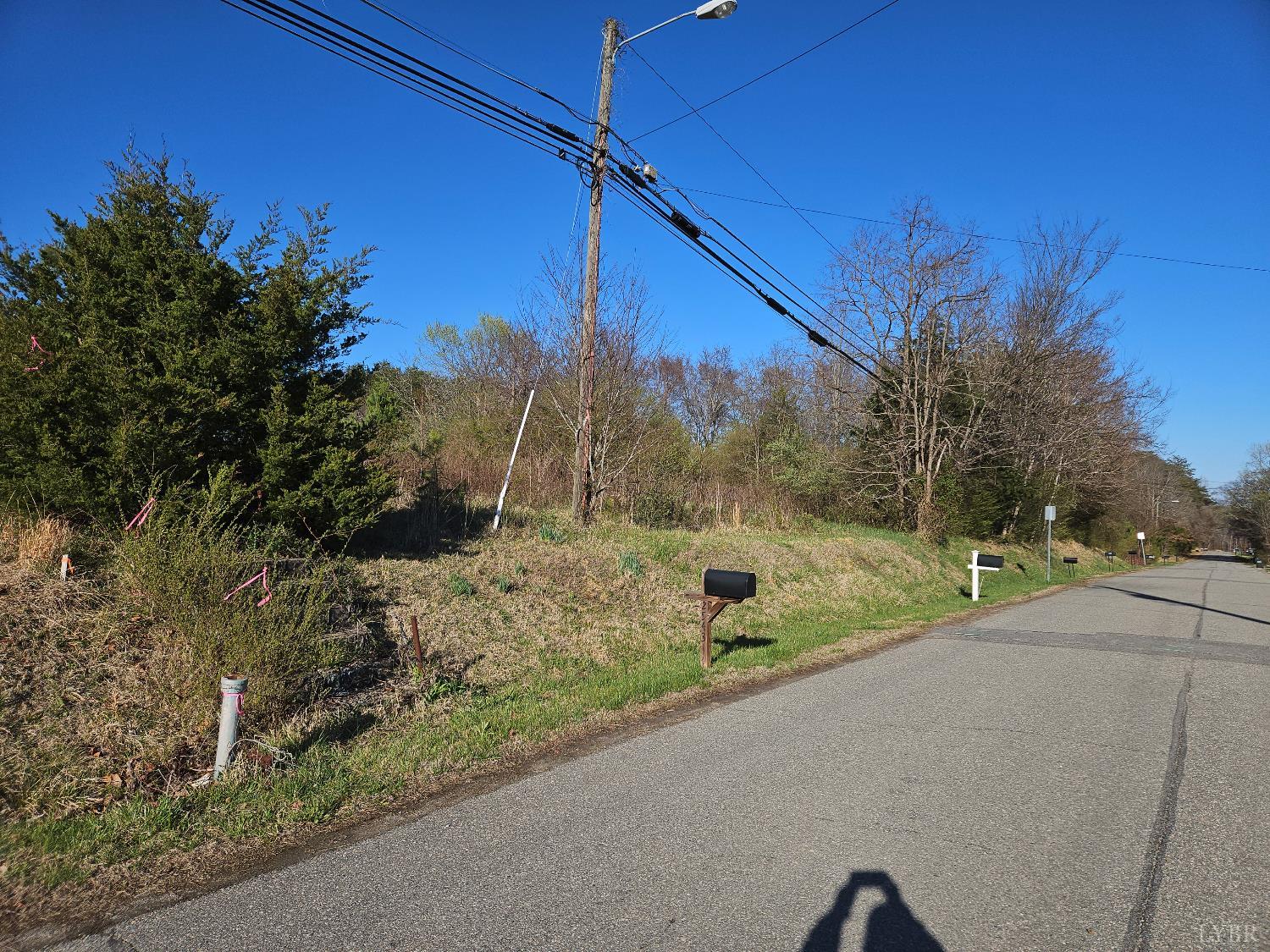 0 Layne Street Farmville, VA 23901 - Photo 5 of 12