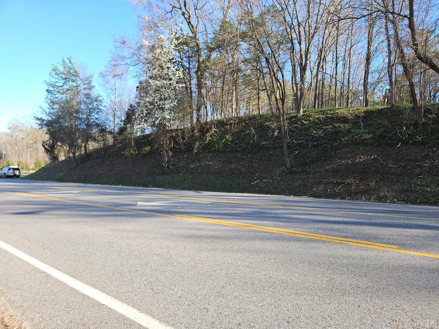 0 Layne Street Farmville, VA 23901 - Photo 8 of 12