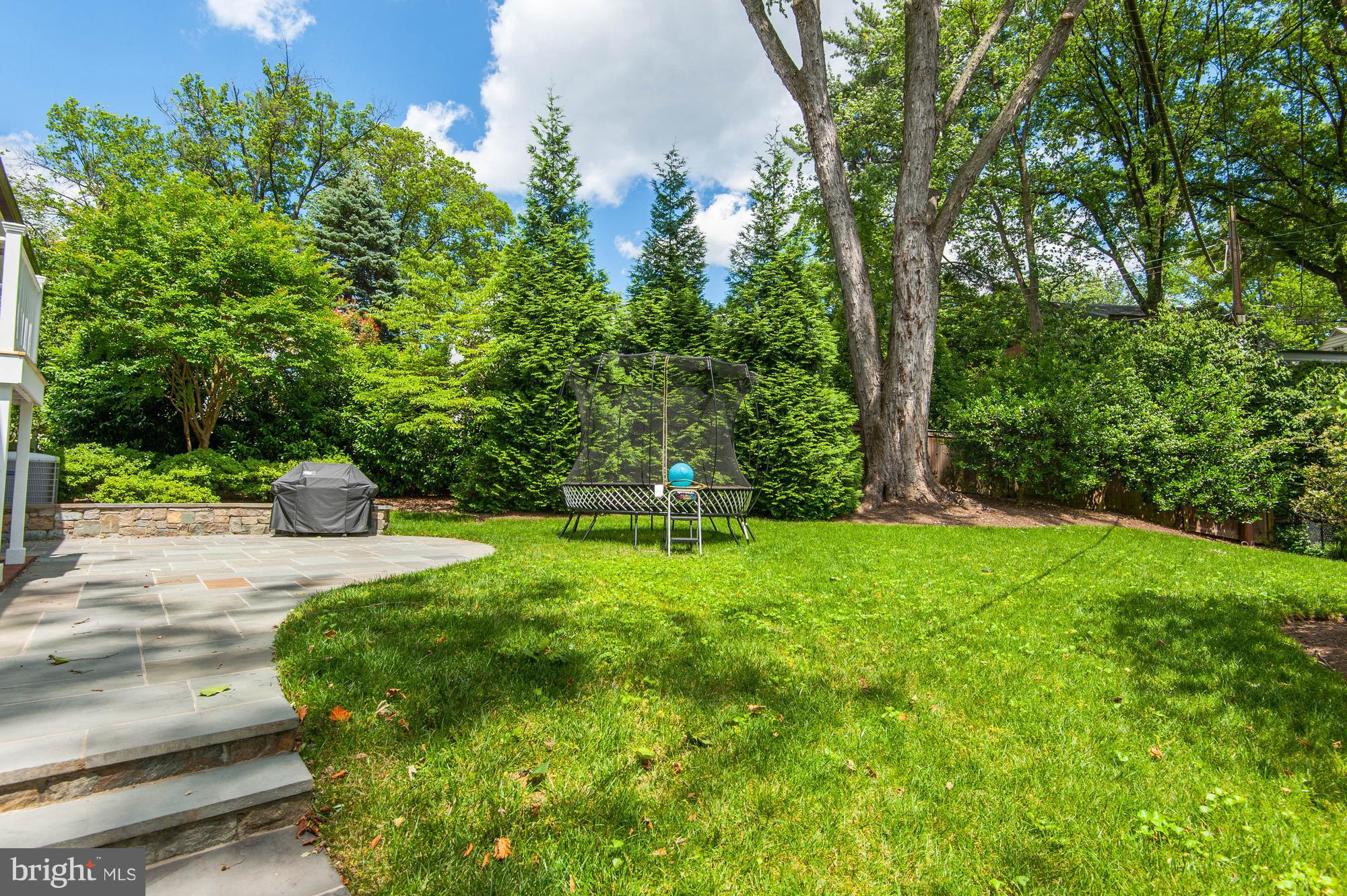 5120 Upton Street Northwest Washington, DC 20016 - Photo 19 of 22 a view of a park with large trees