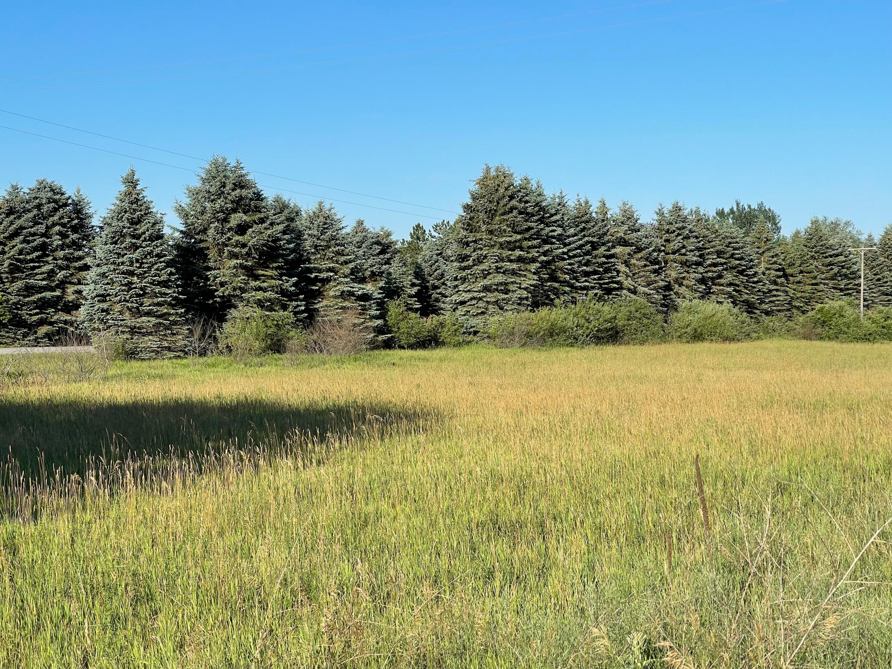 East Spruce Road Mio, MI 48647 - Photo 12 of 13