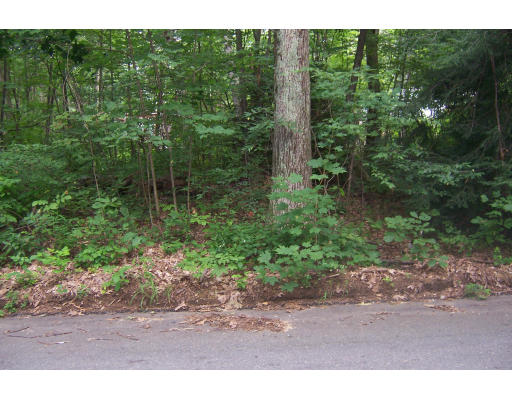 0 Williams Road Holland, MA 01521 - Photo 1 of 1 Gallery Image 1