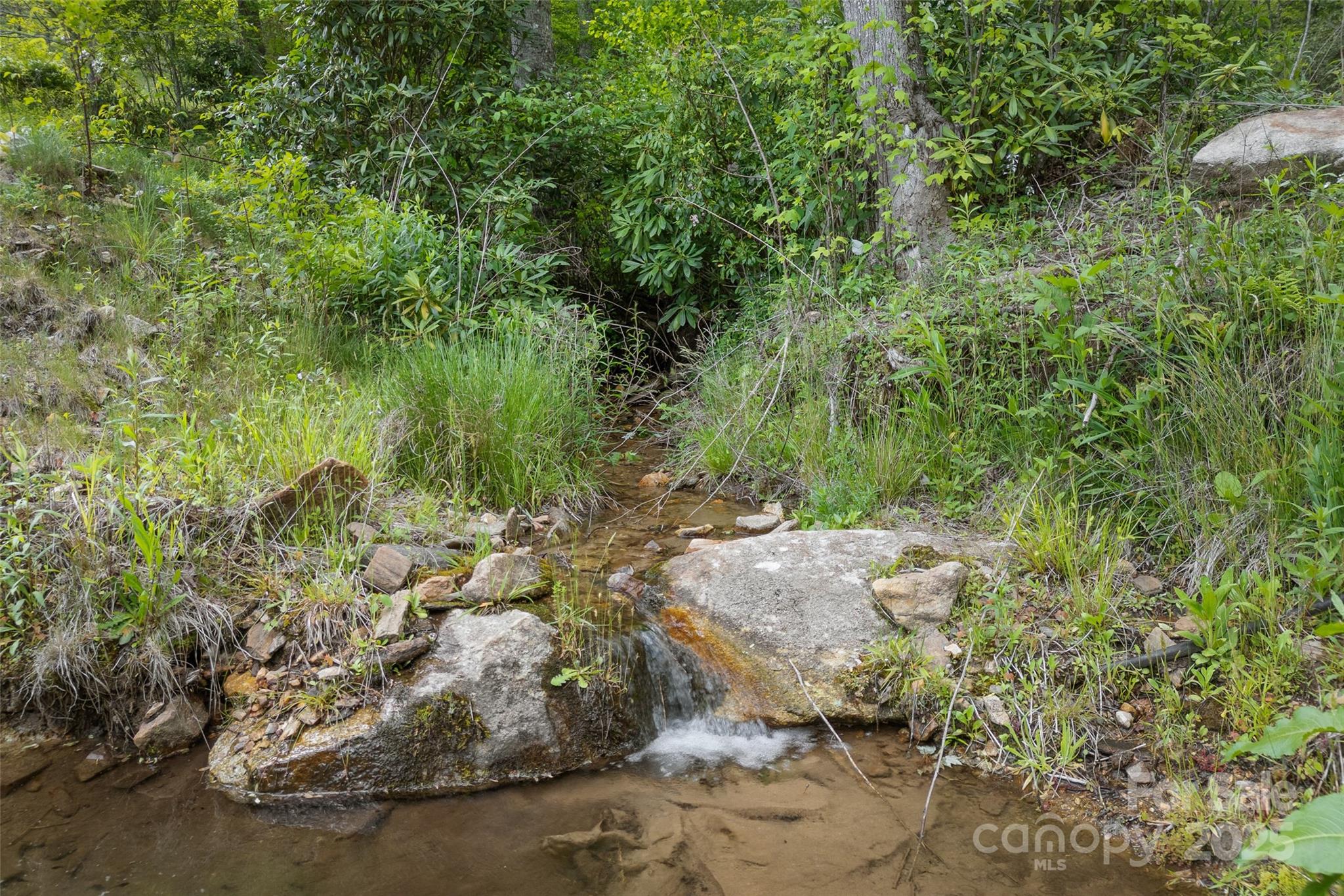 1557 Shoal Creek Road Balsam Grove, NC 28708 - Photo 8 of 33