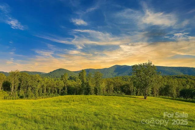 a view of grassy field with mountain