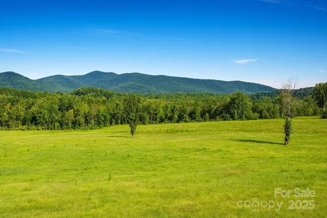 a view of an ocean from a yard