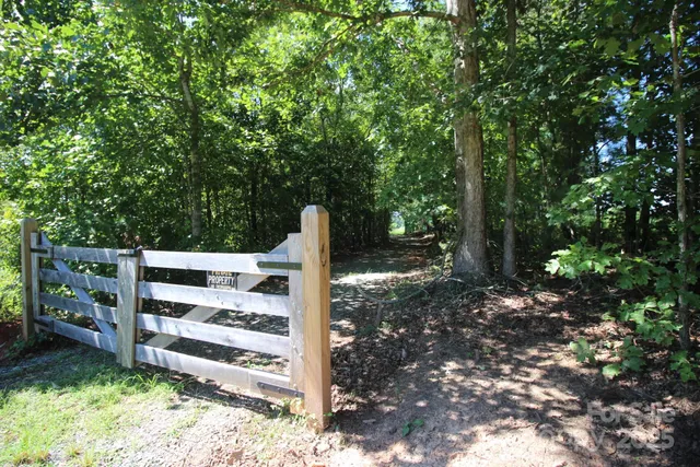 a view of a tree in a yard