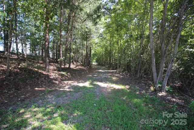 a view of a lake view with a garden