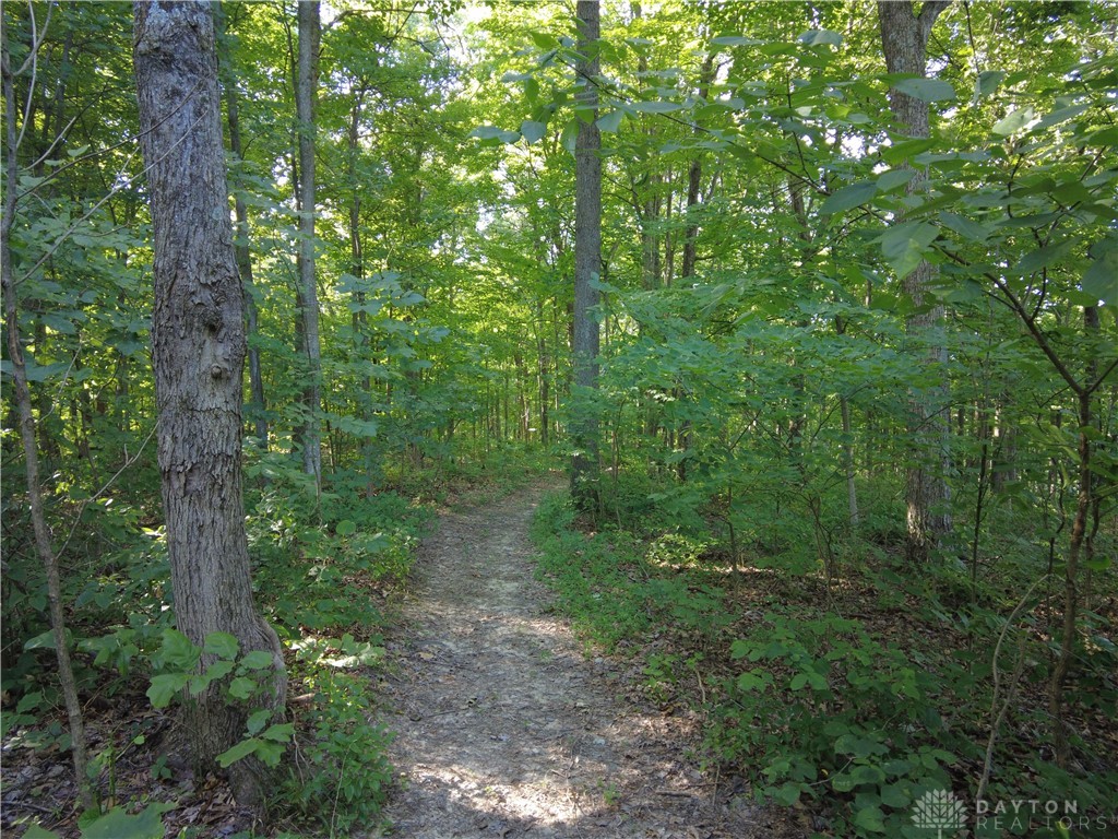 1674 Beavers Ridge Road Peebles, OH 45660 - Photo 10 of 18