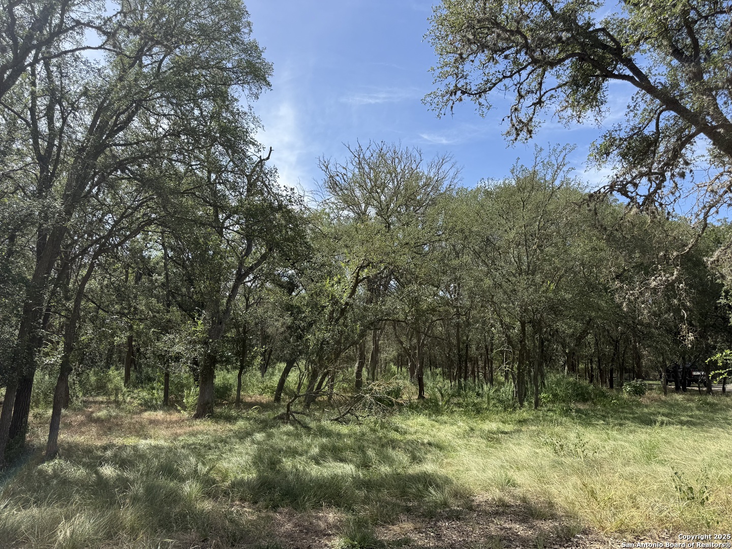 8403 Wild Wind Park Garden Ridge, TX 78266 - Photo 2 of 16 a backyard of a house with lots of green space
