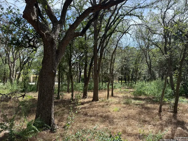 a view of outdoor space with trees