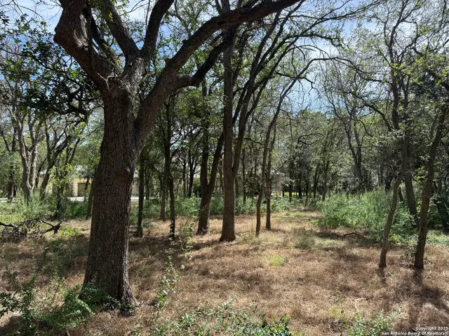a view of outdoor space with trees