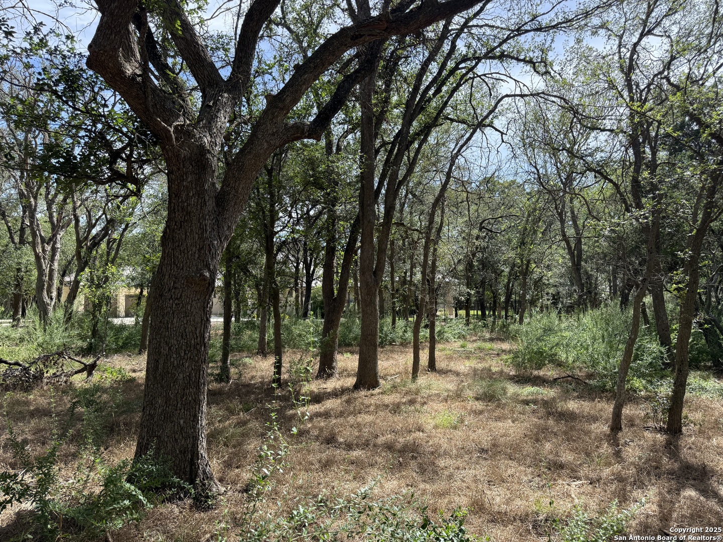8403 Wild Wind Park Garden Ridge, TX 78266 - Photo 6 of 16 a view of outdoor space with trees