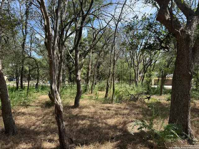 a view of outdoor space with trees