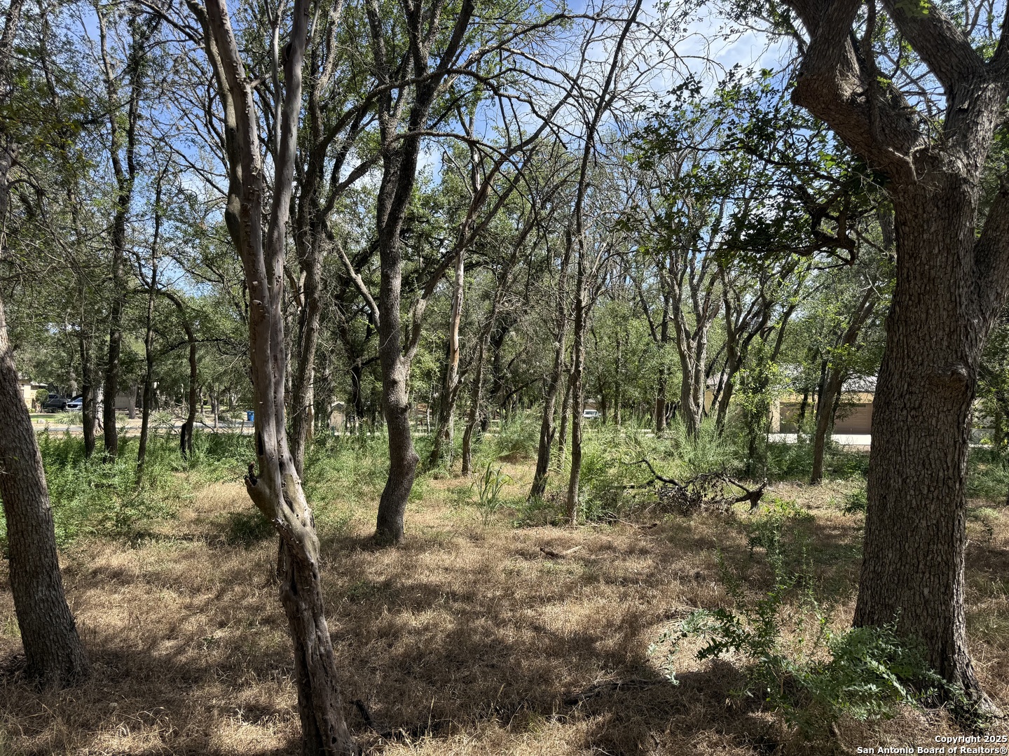 8403 Wild Wind Park Garden Ridge, TX 78266 - Photo 7 of 16 a view of outdoor space with trees