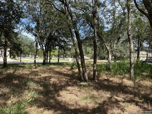 a view of outdoor space with trees