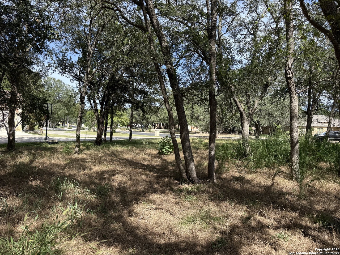 8403 Wild Wind Park Garden Ridge, TX 78266 - Photo 8 of 16 a view of outdoor space with trees