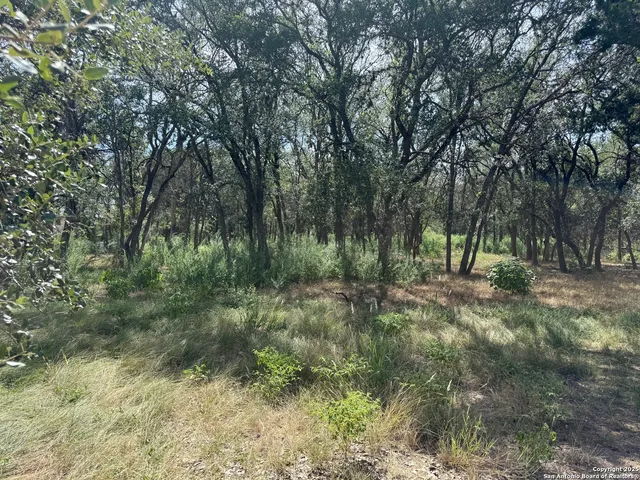 a view of outdoor space and green space