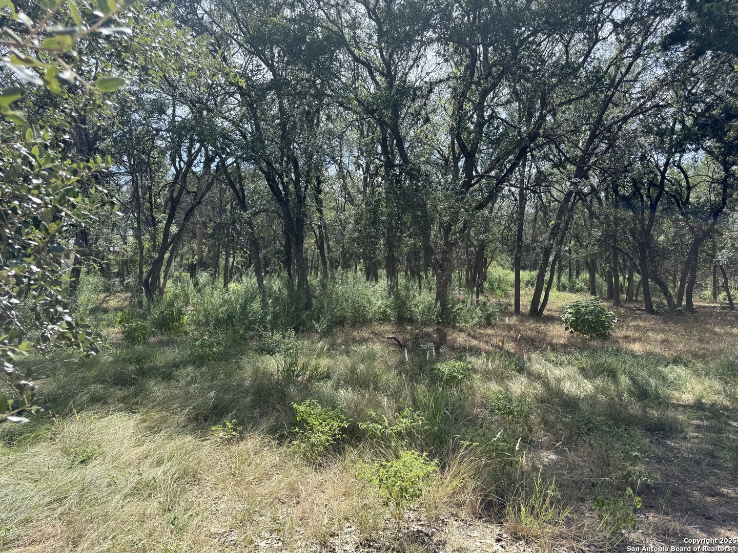 8403 Wild Wind Park Garden Ridge, TX 78266 - Photo 9 of 16 a view of outdoor space and green space