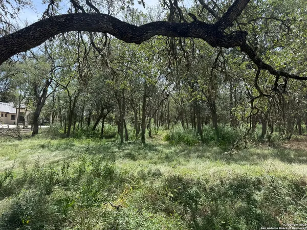 a big yard with lots of green space and deers